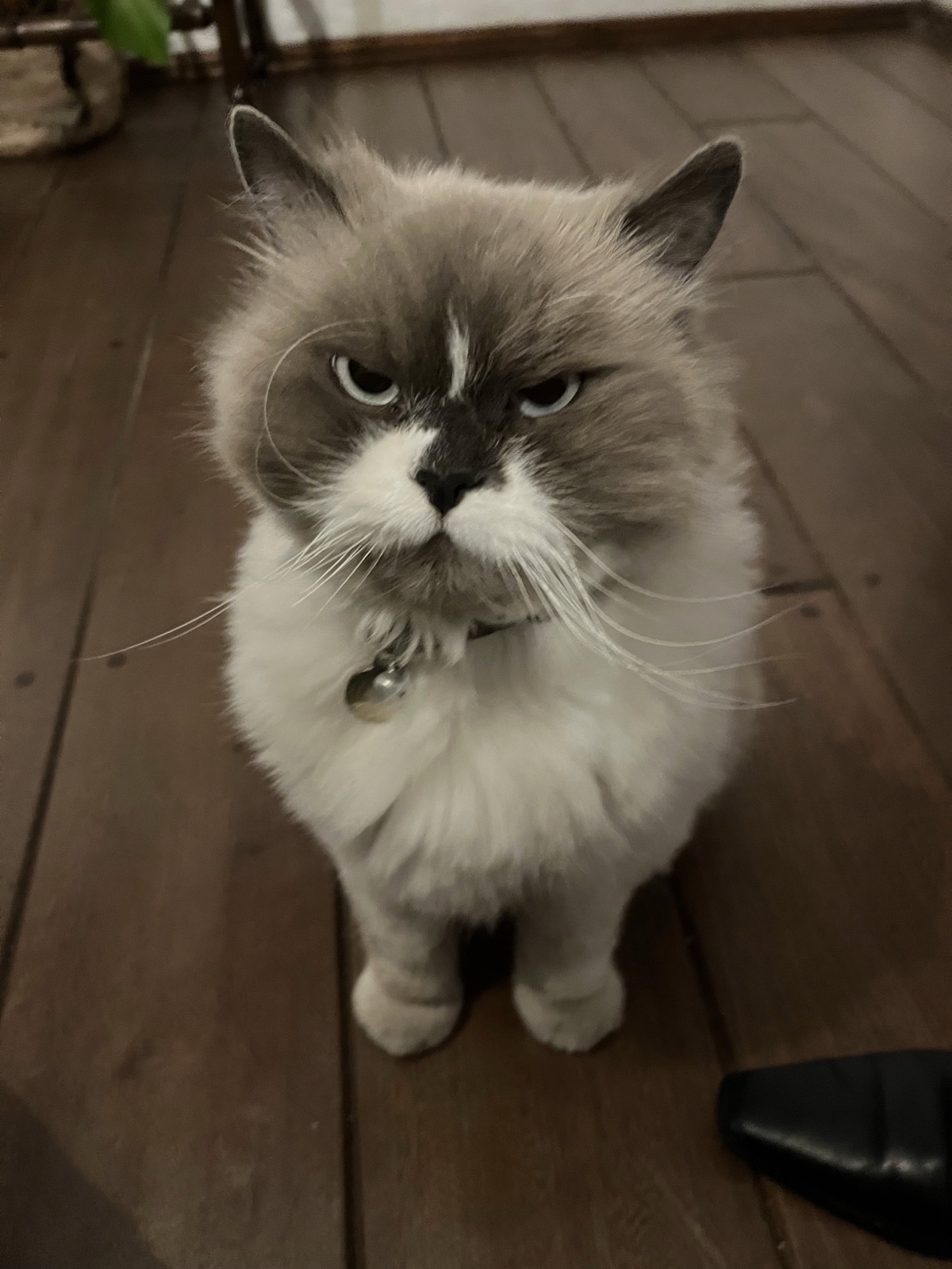 Understanding your cycle